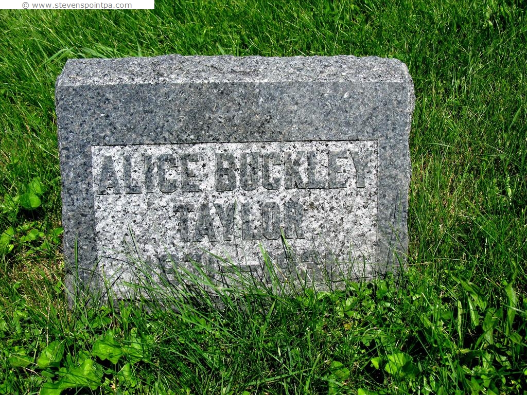 Lanesboro Cemetery Section 3